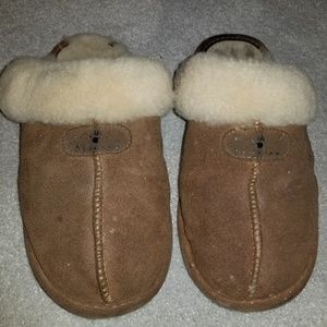 Bearpaw slippers